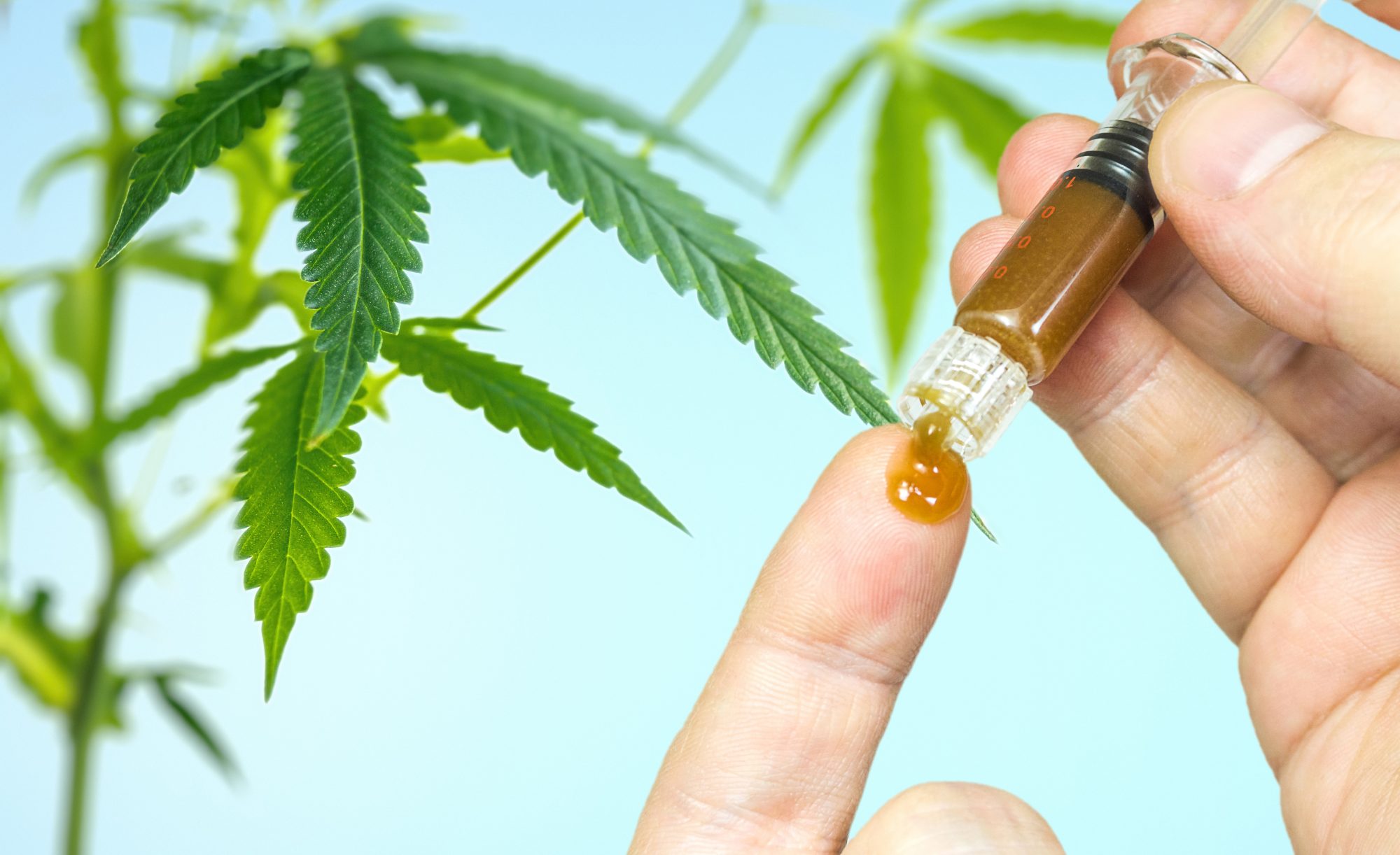 Medical Cannabis Treatment for Muscle Spasms