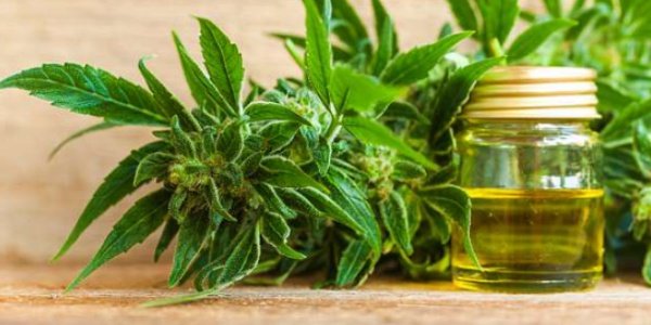 Is CBD Oil Halal or Haram to Muslims